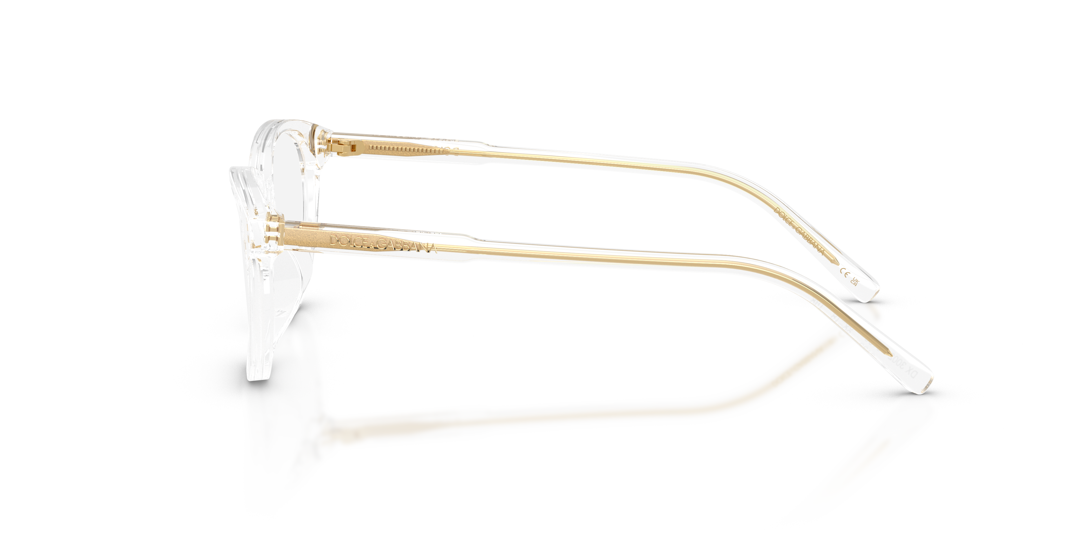 Dolce & Gabbana DX3002 3133  